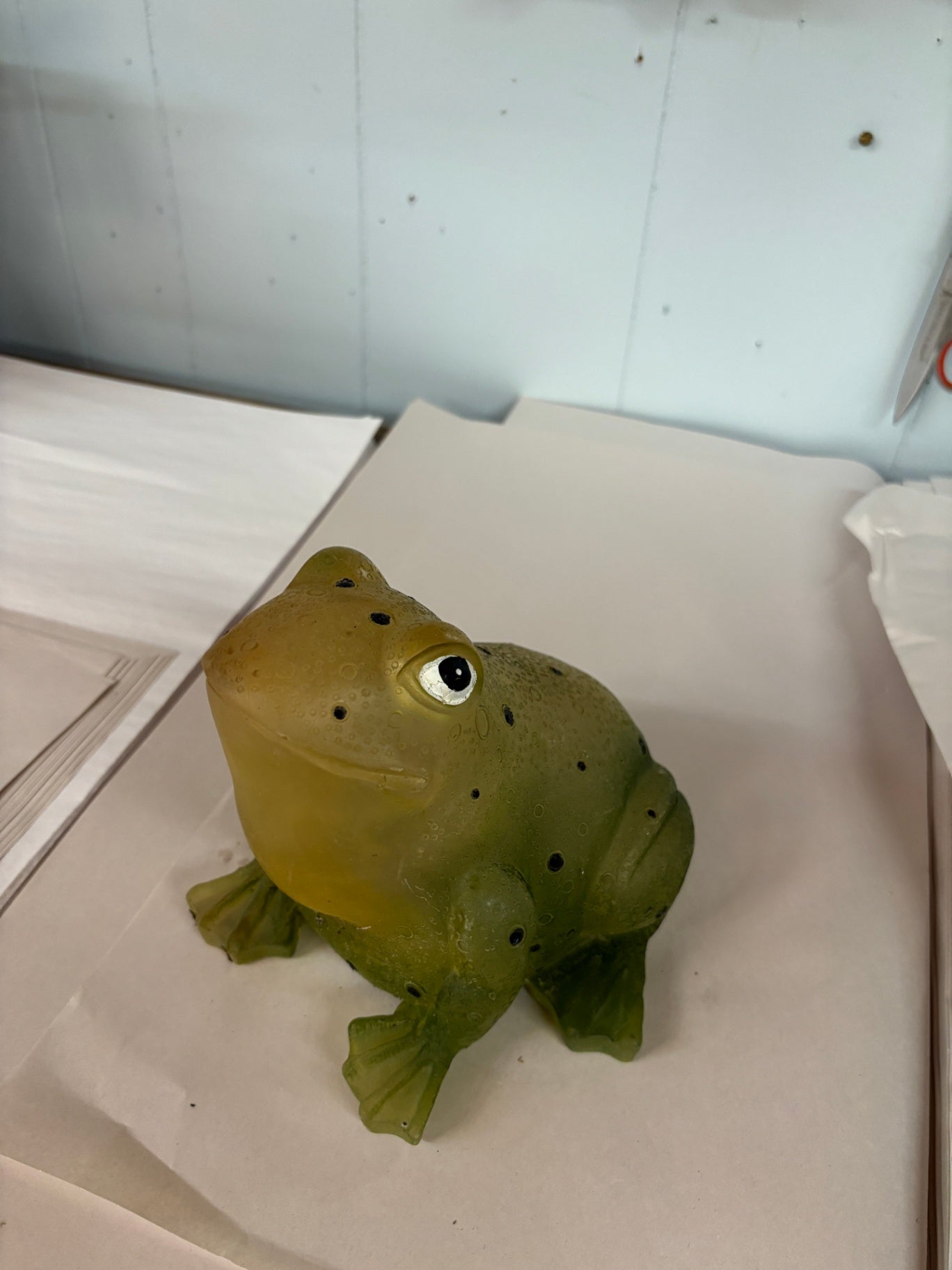 Garden Frog
