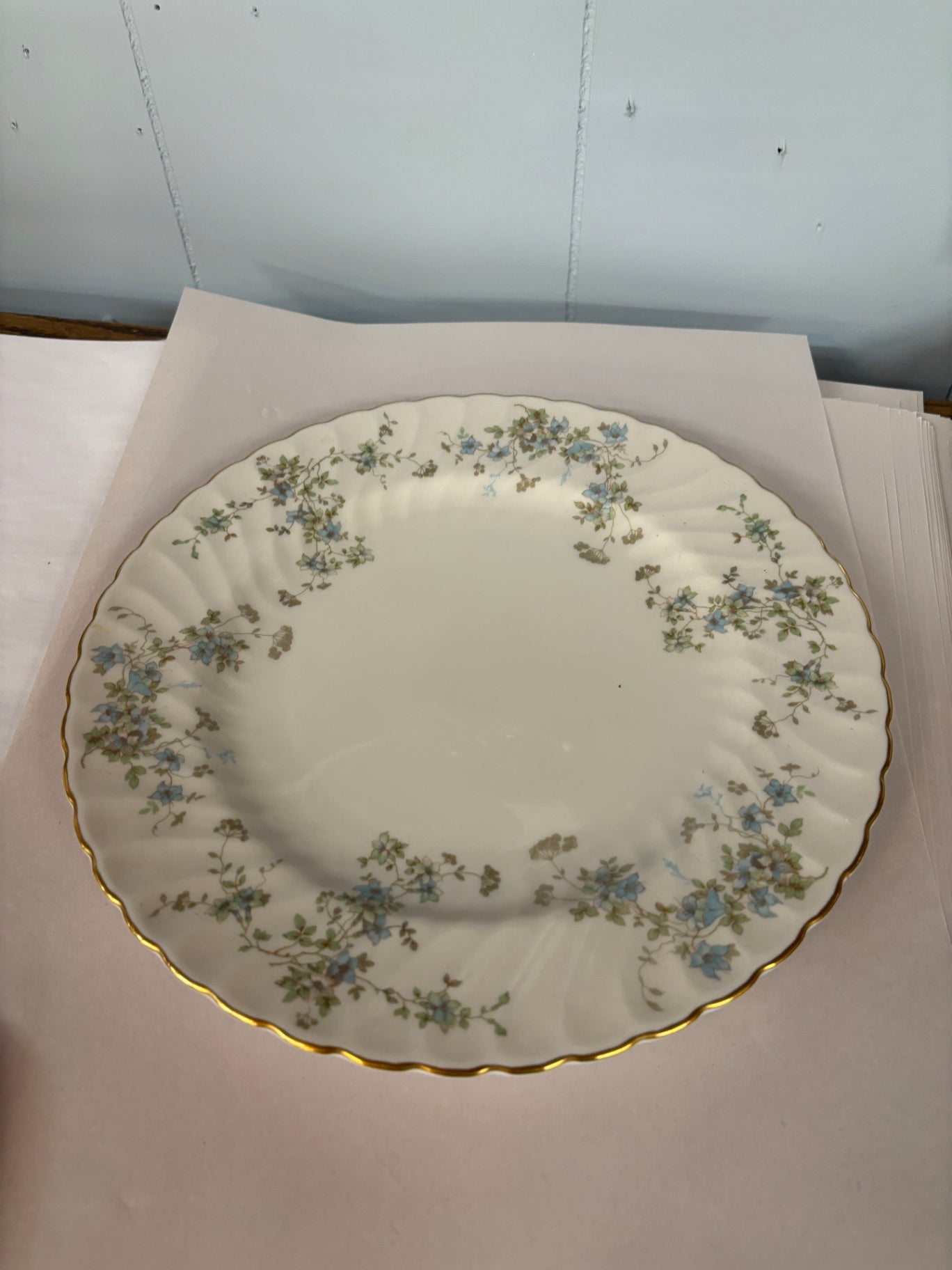 Dinner Plate