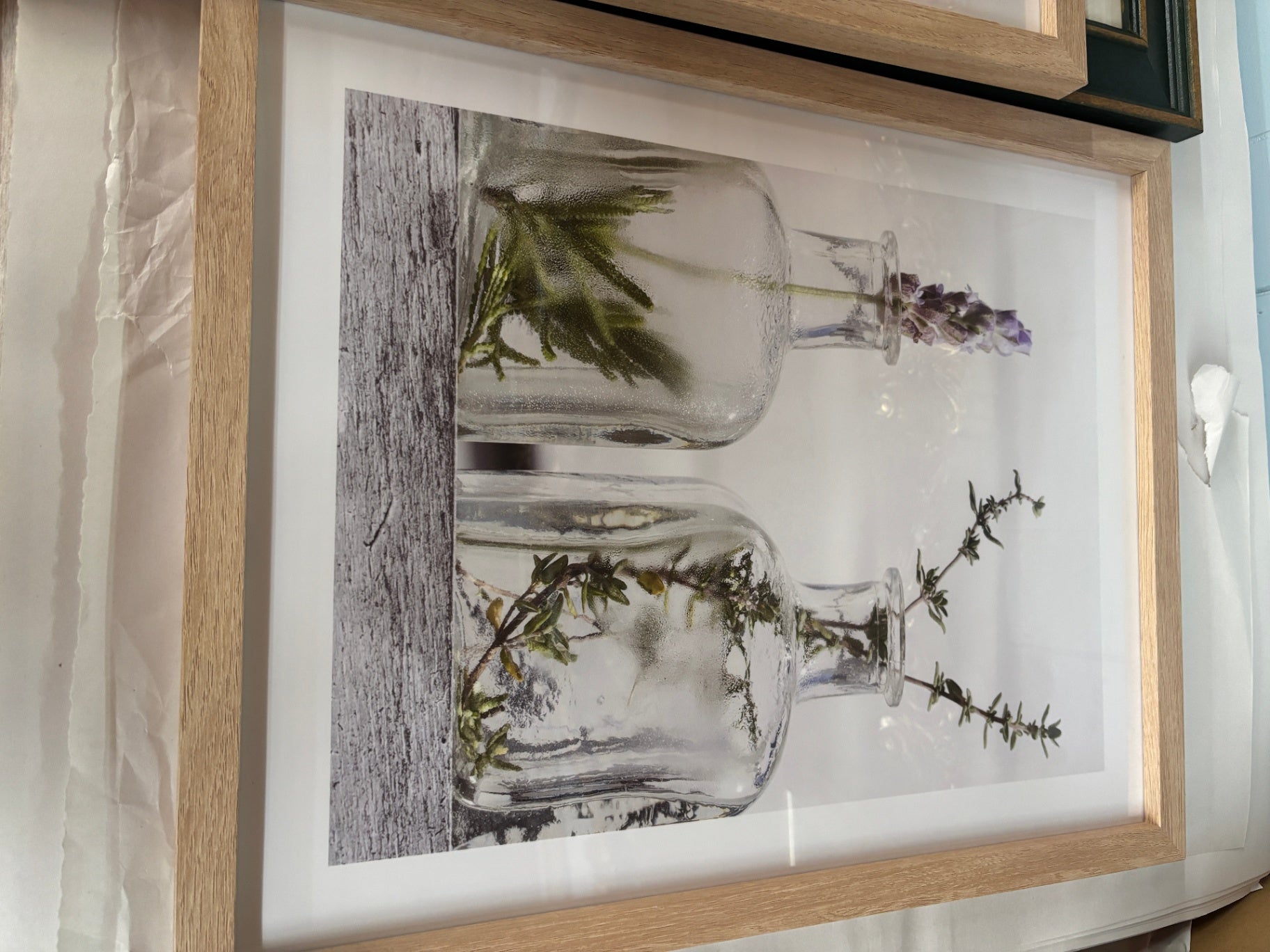Framed Botanical Print