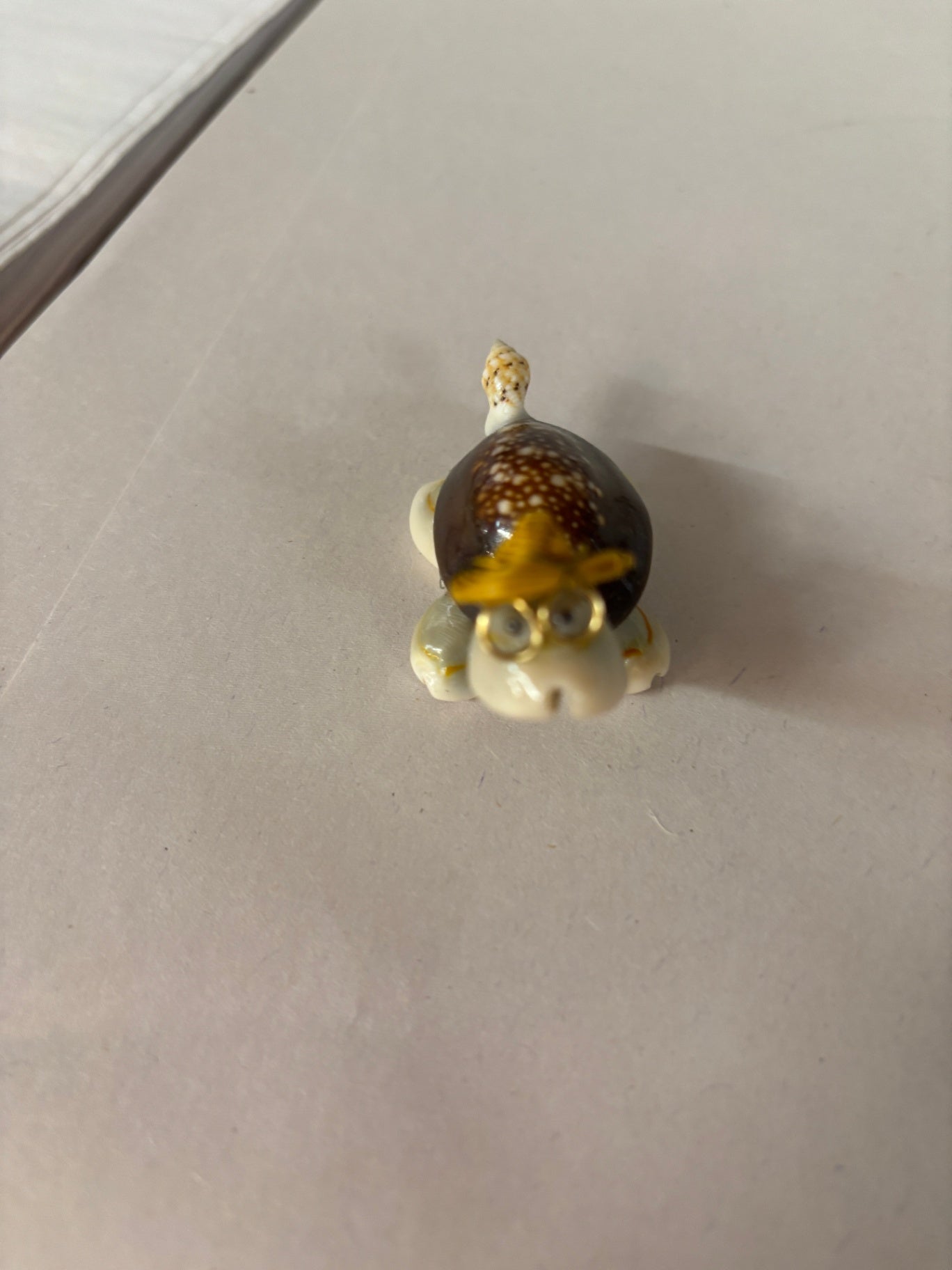 Mini Tultle