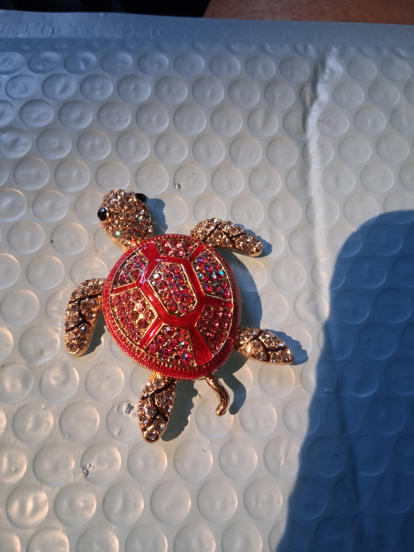 Pin Turtle dsc