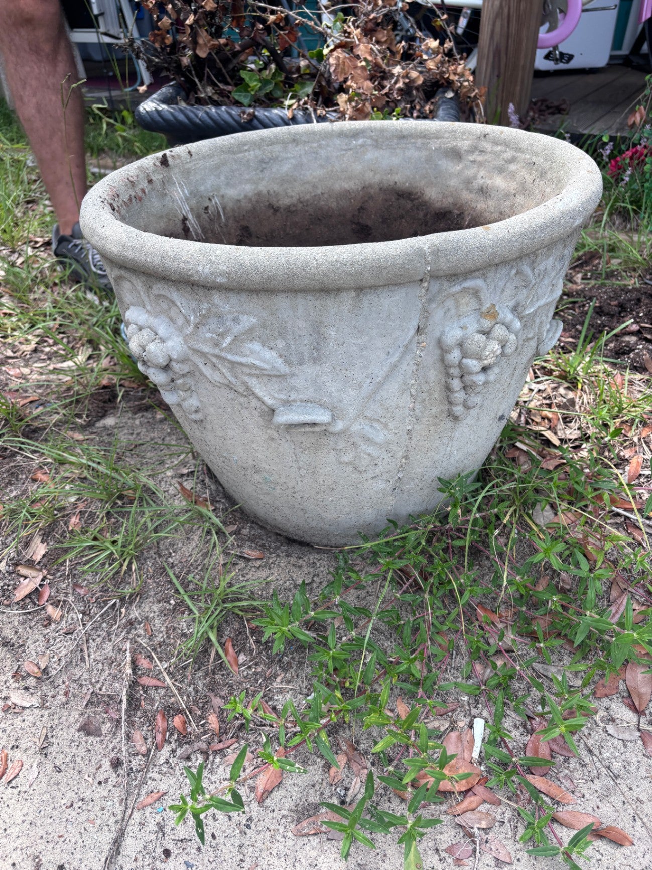 Concrete Planter Grape Themed