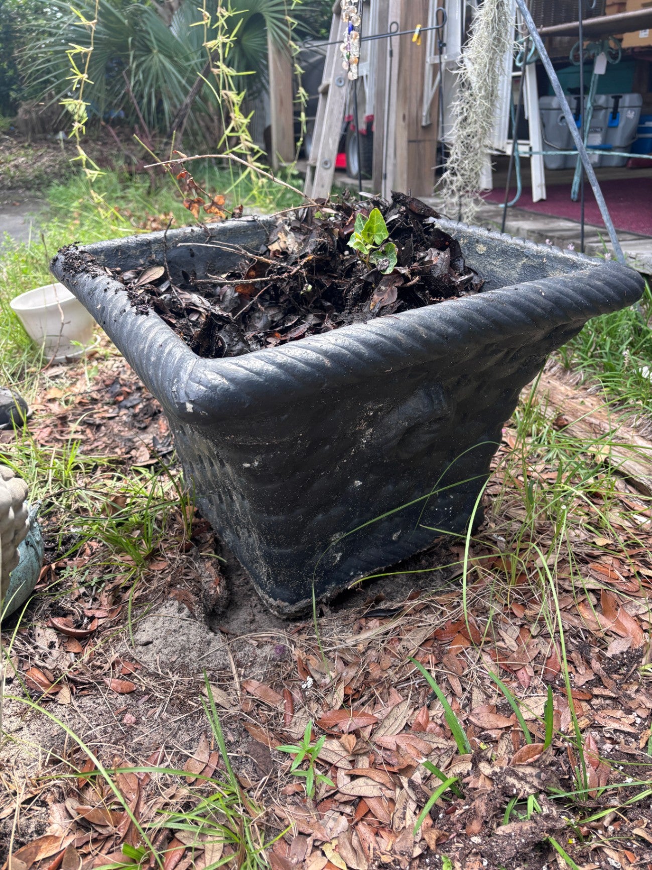 Black Concrete Planter