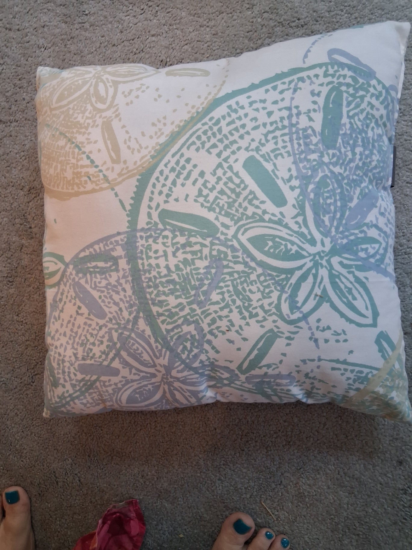Pillow teal sand dollar dsc