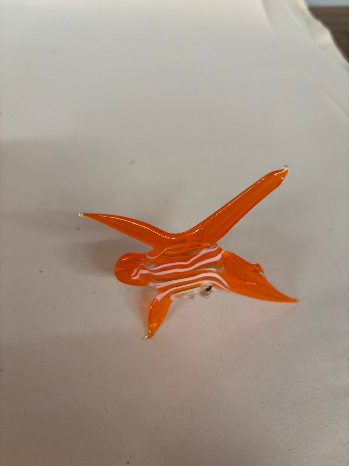 Glass Fish