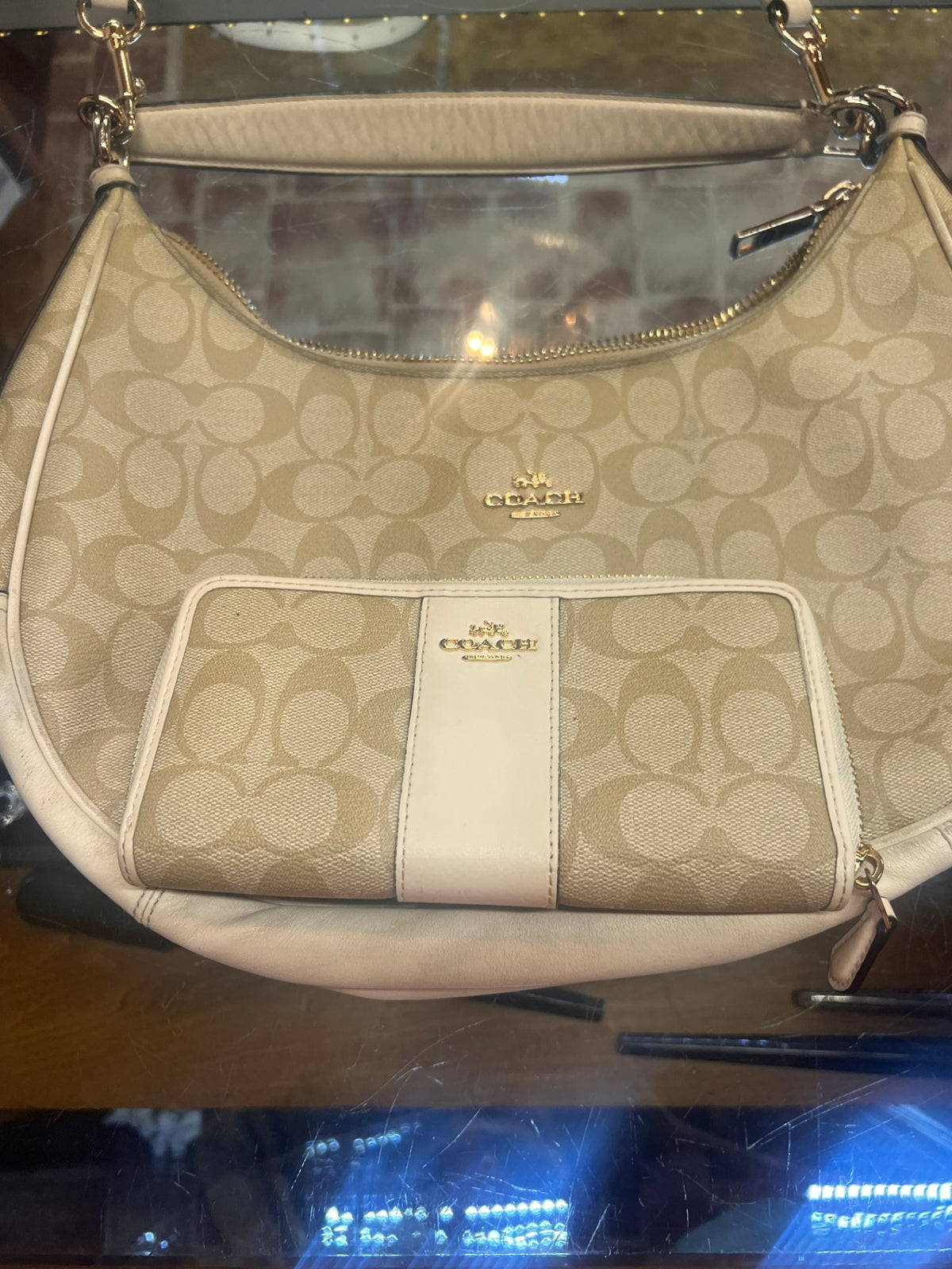 Coach Hobo Bag and Wallet d1747-f58288