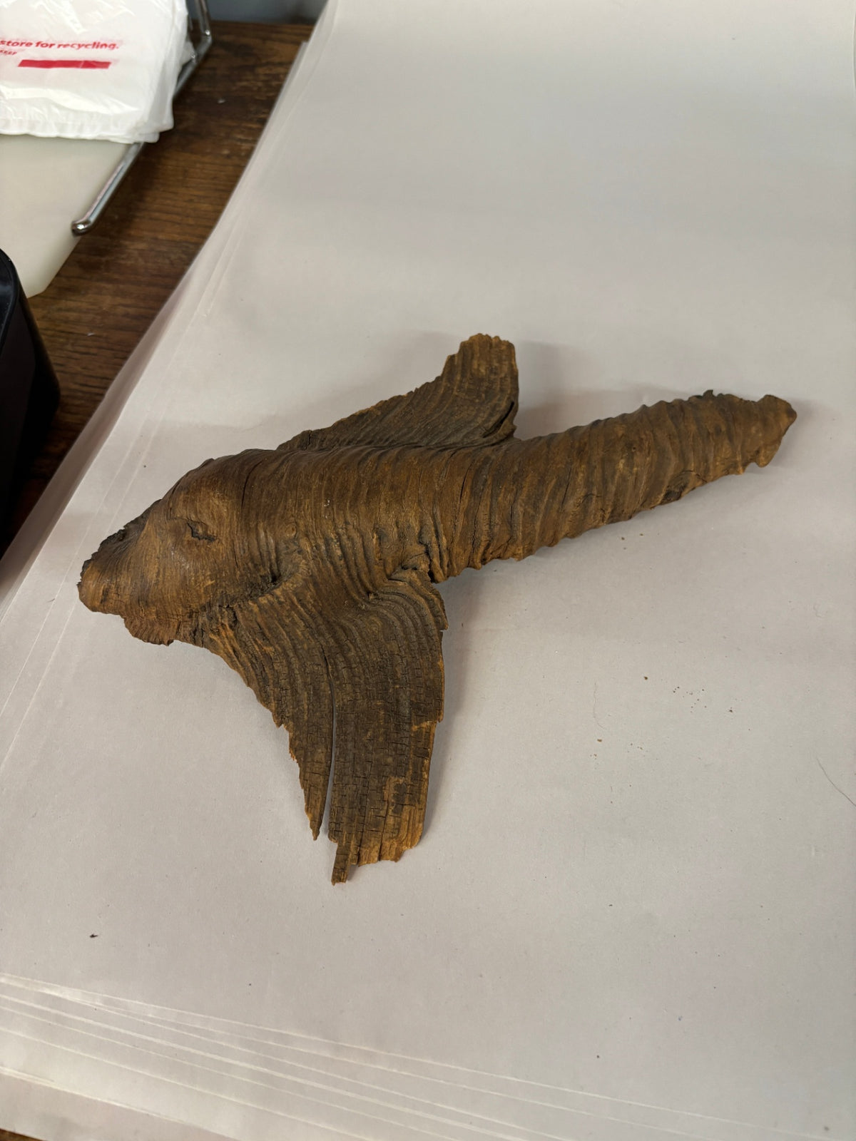 Natural Weathered Driftwood Root / Sculptural Wood Specimen