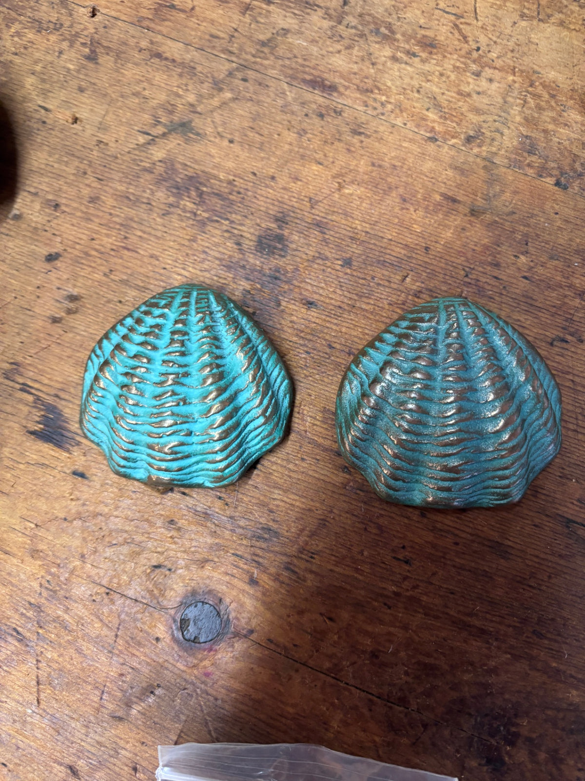  Scallop shell-shaped plastic 