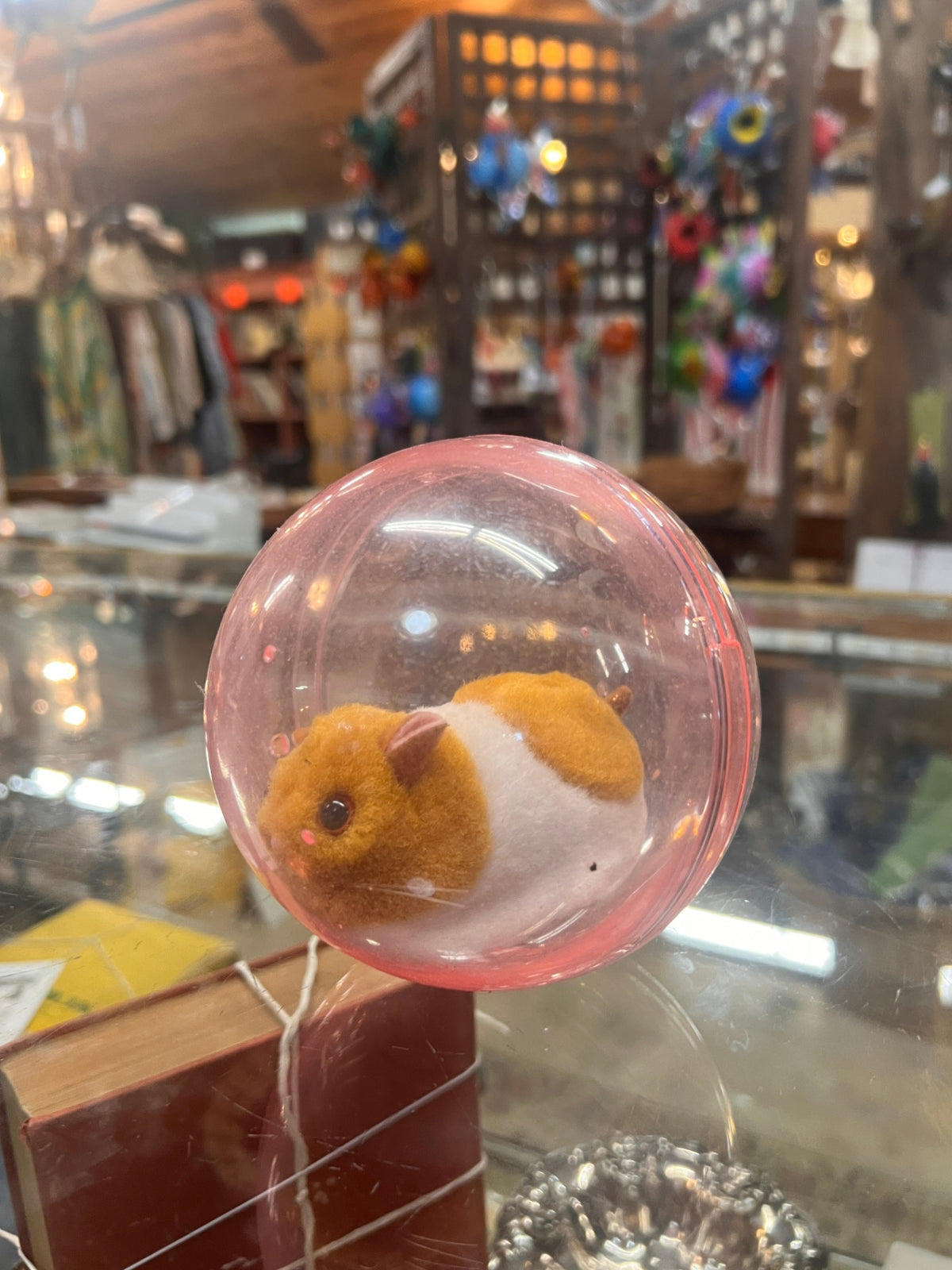 Hamster In A Ball