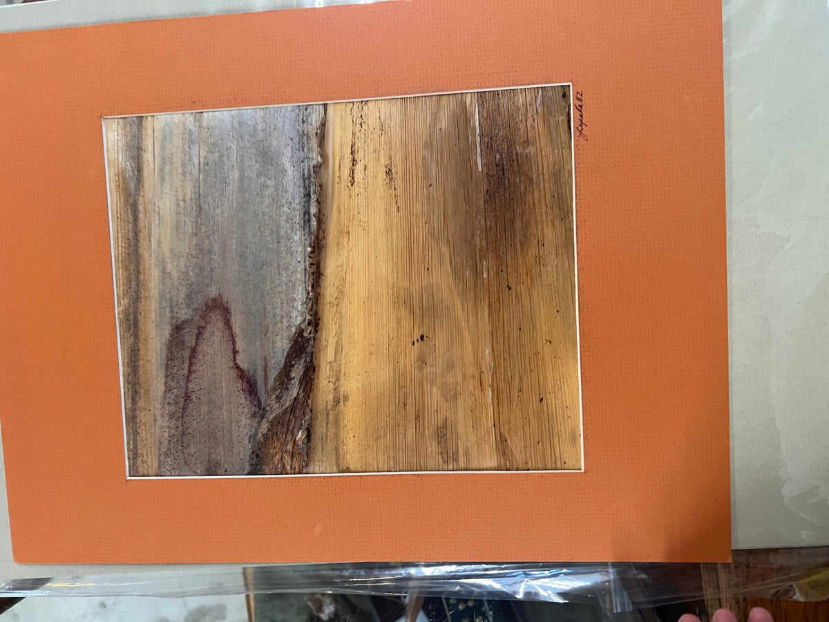 Vintage 1982 Hawaiian Banana Bark Fiber Art – Signed Tropical Abstract Nature Collage