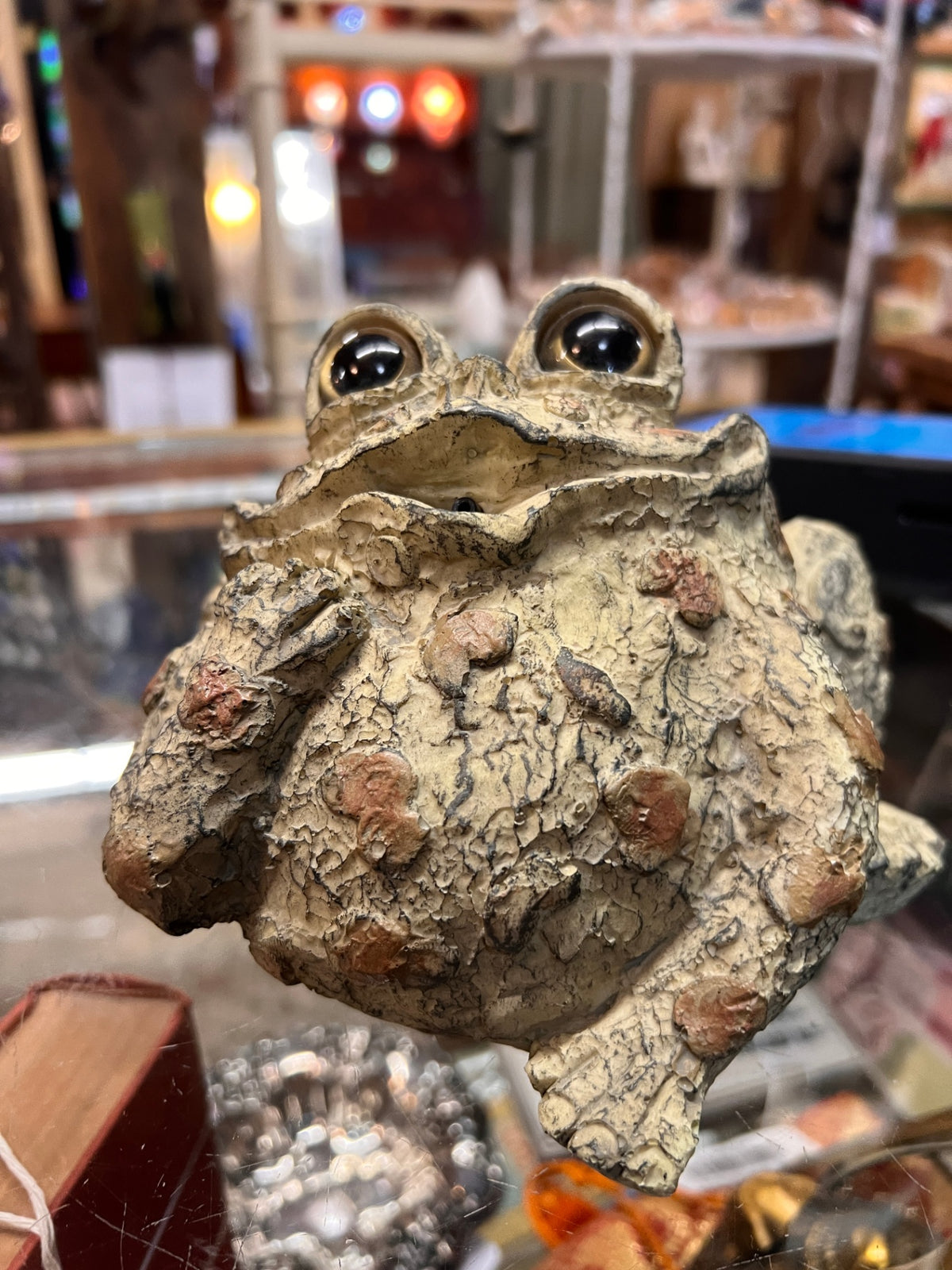 Toad Hollow "Romeo Motion Activated Whistling Toad Statue 6", Natural Brown Frog