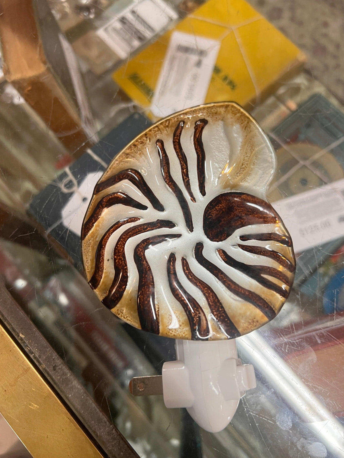 shell night light