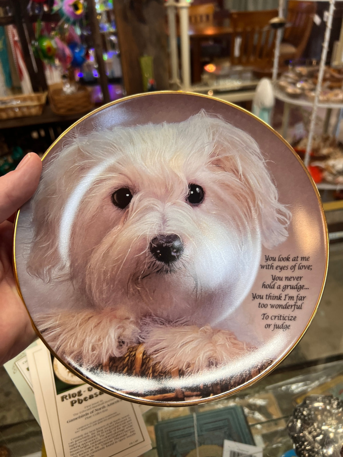 Danbury Mint Eyes of Love Limited Edition Collector Plate 8.5"
