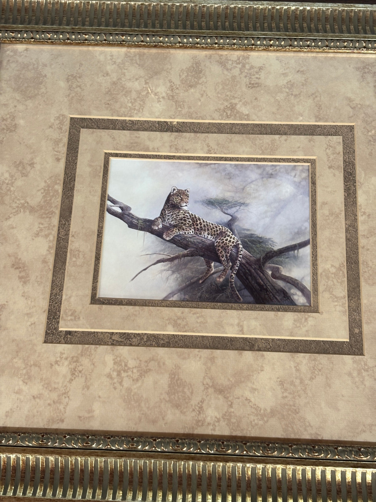 Spotted Beauty Ruane Manning Art Print 22x28 Framed