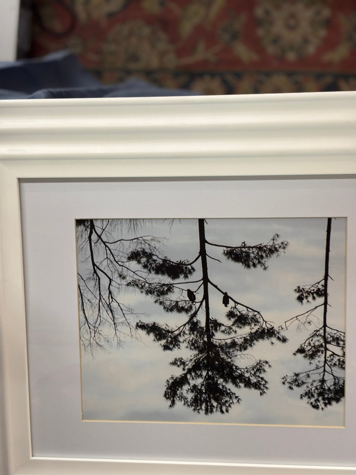 Framed Photo