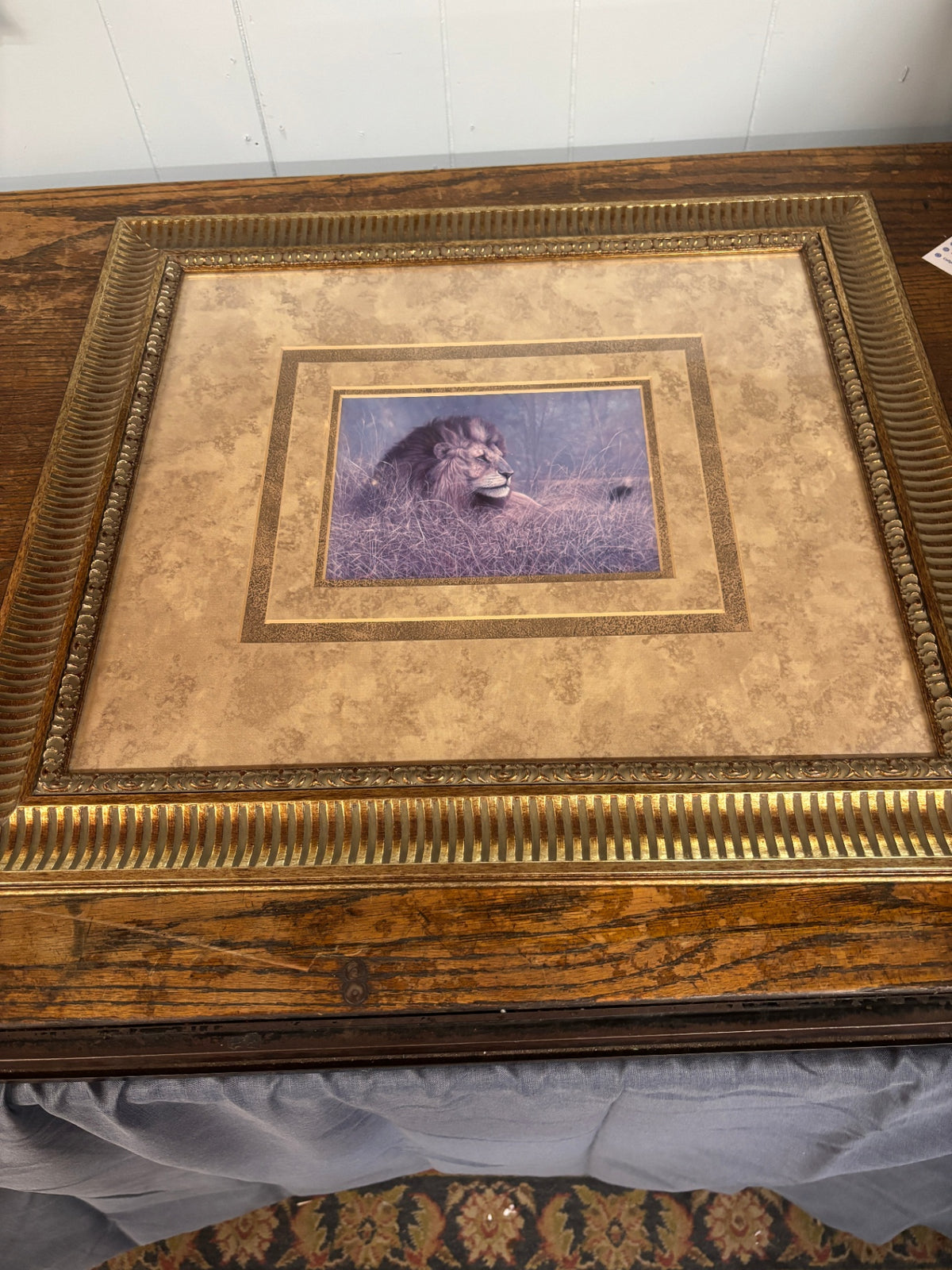 Framed Art Print of a Male Lion Resting in the Grass
