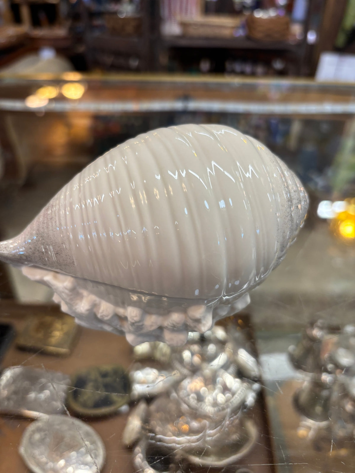Decorative White Seashell Trinket Box – Coastal Nautical Décor
