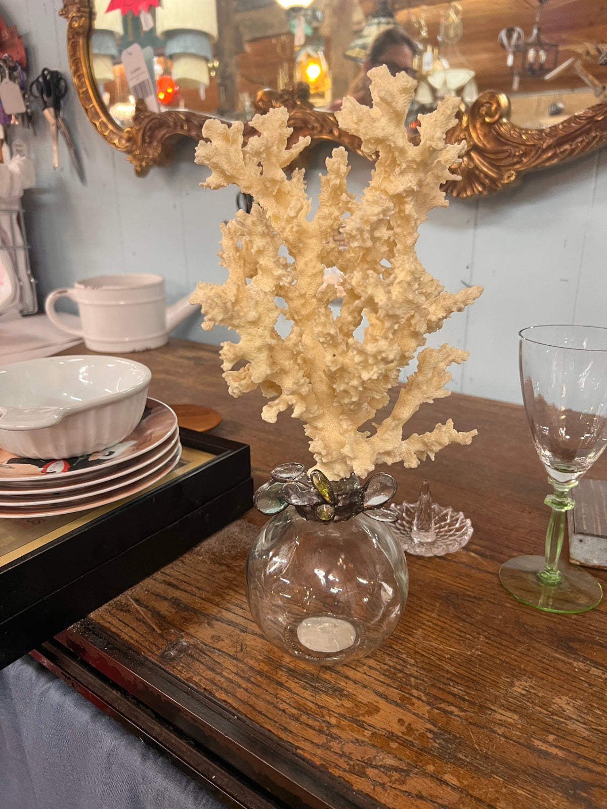 Large Natural Branching Coral Specimen in Decorative Art Glass Vase – Coastal Nautical Decor
