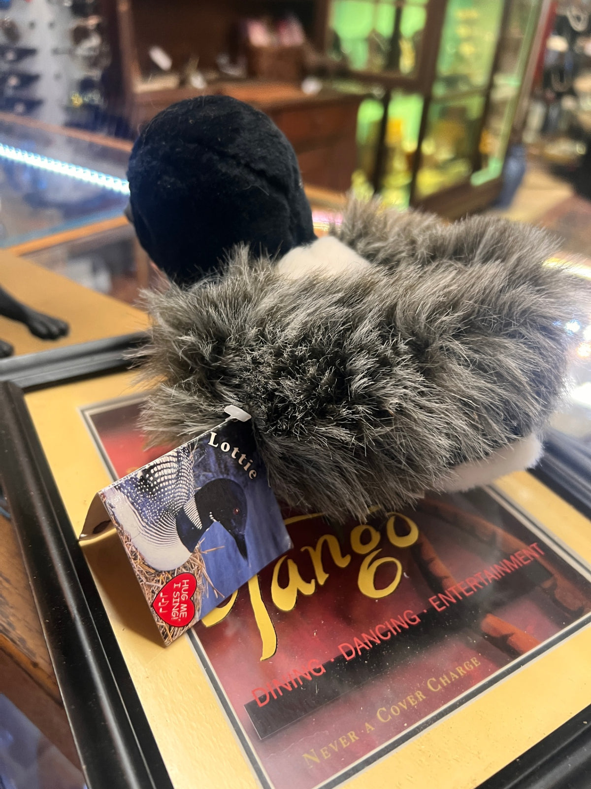 Stuffed Bird