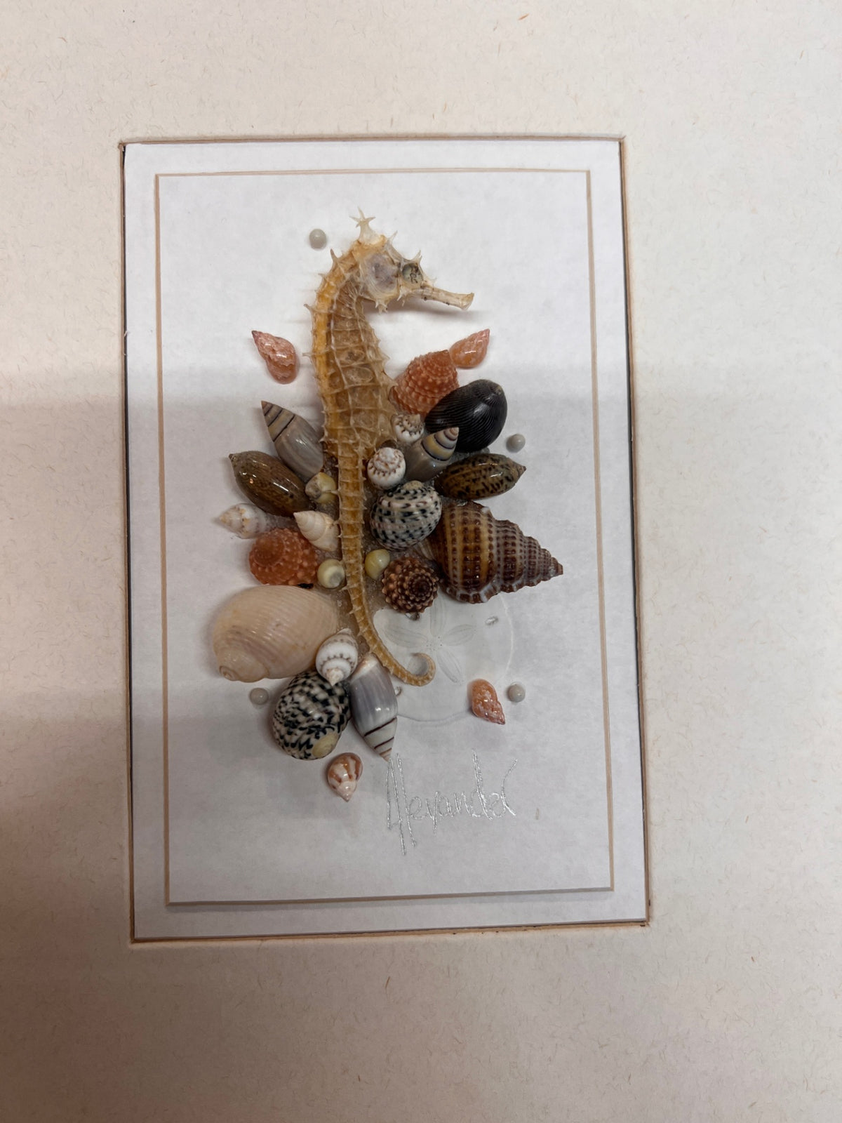 Signed Alexander Framed Seahorse & Seashell Mixed Media Coastal Artwork