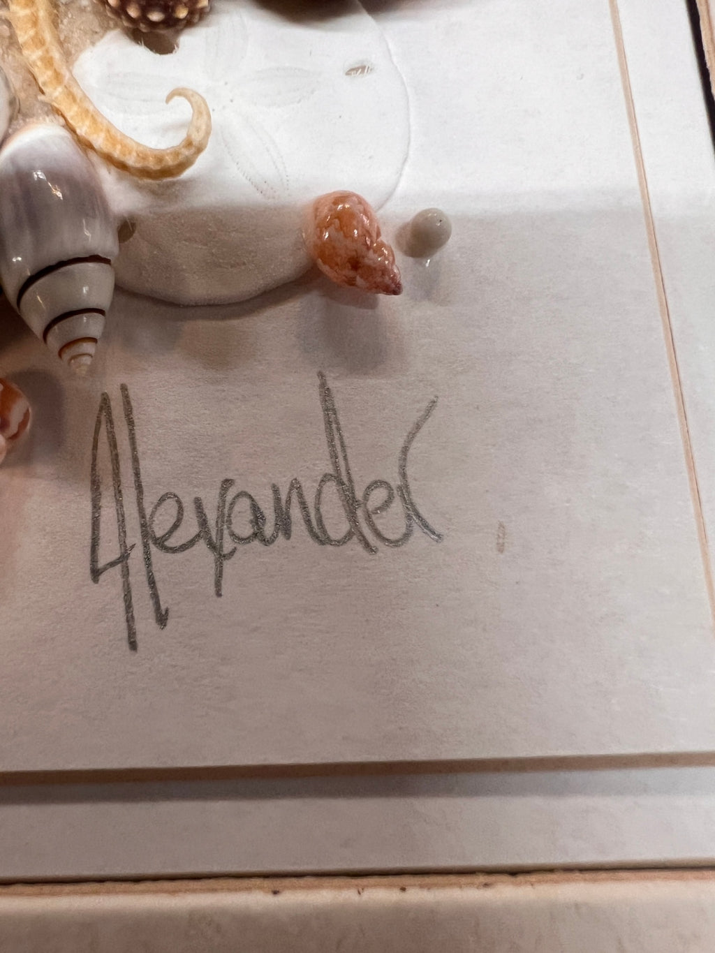 Signed Alexander Framed Seahorse & Seashell Mixed Media Coastal Artwork
