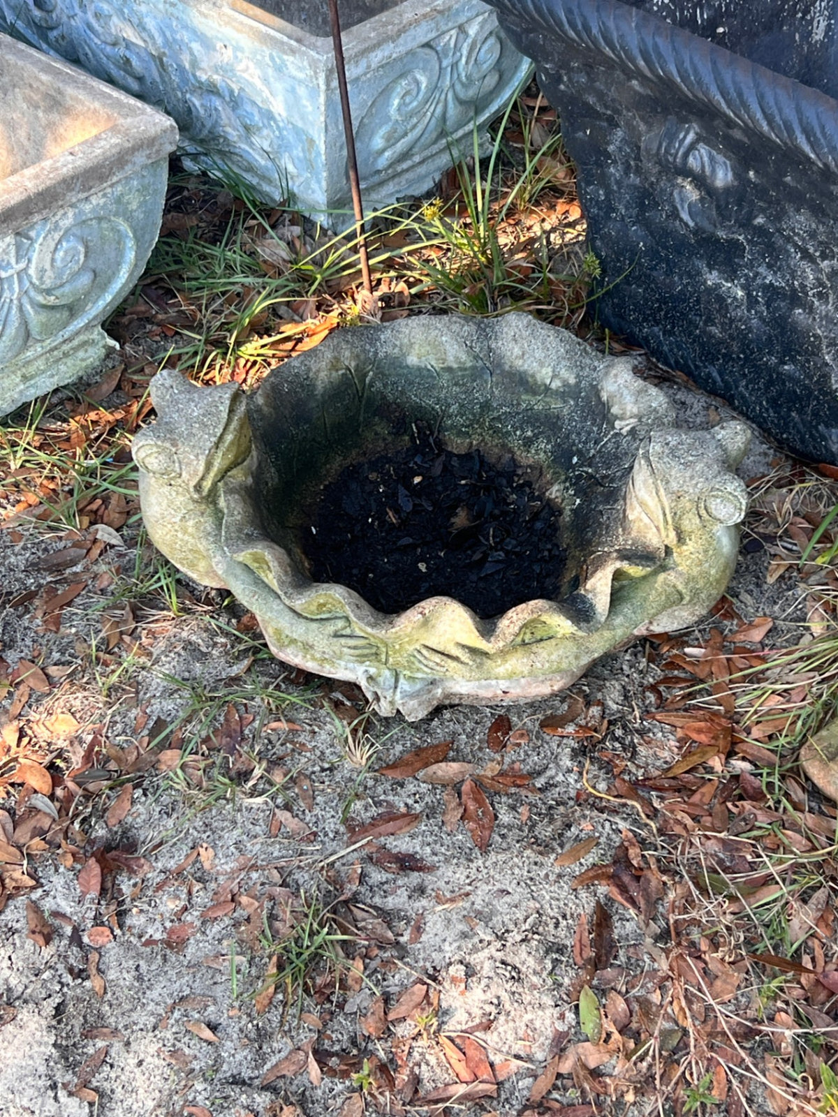 Frog Bird Bath