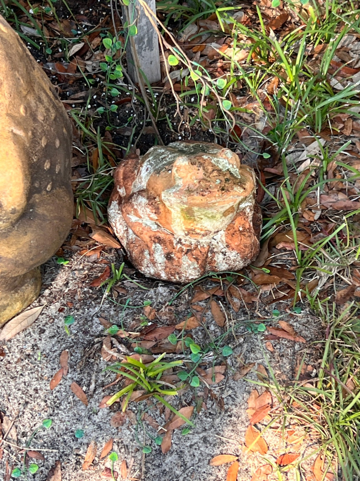 Small Frog Statue