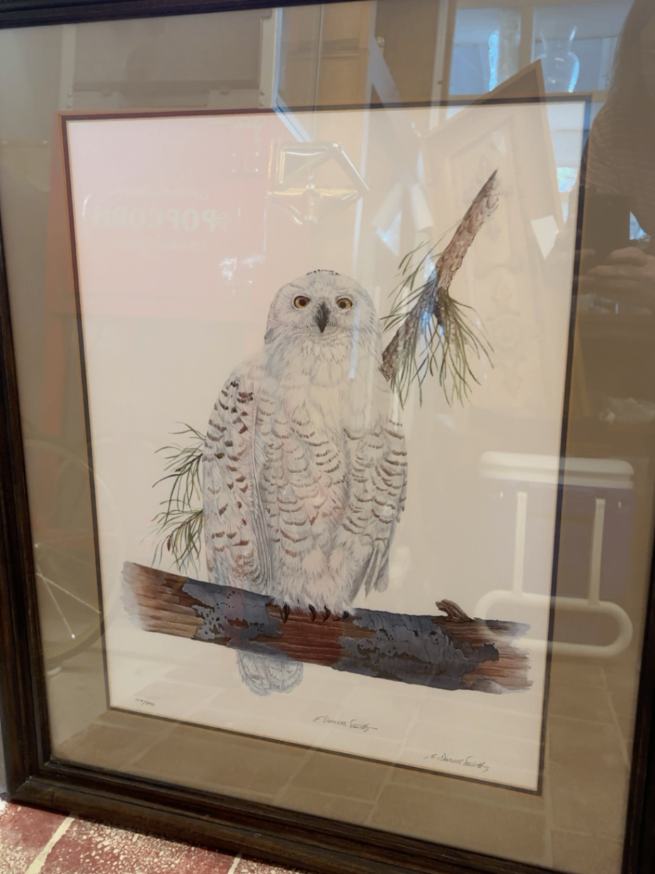 Snowy Owl by E. Darrell Smith 104/950
