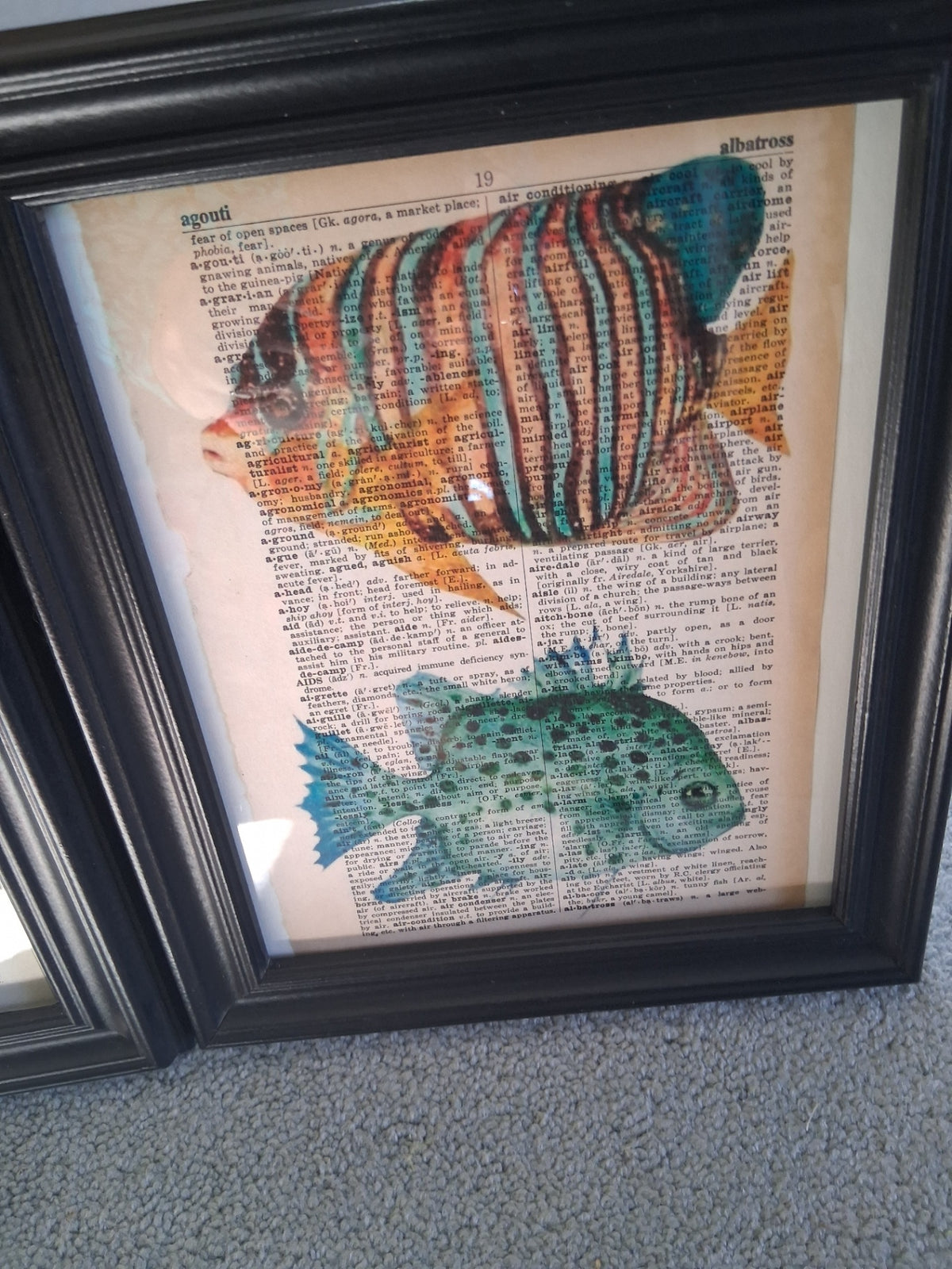 Fish pic on dictionary dsc