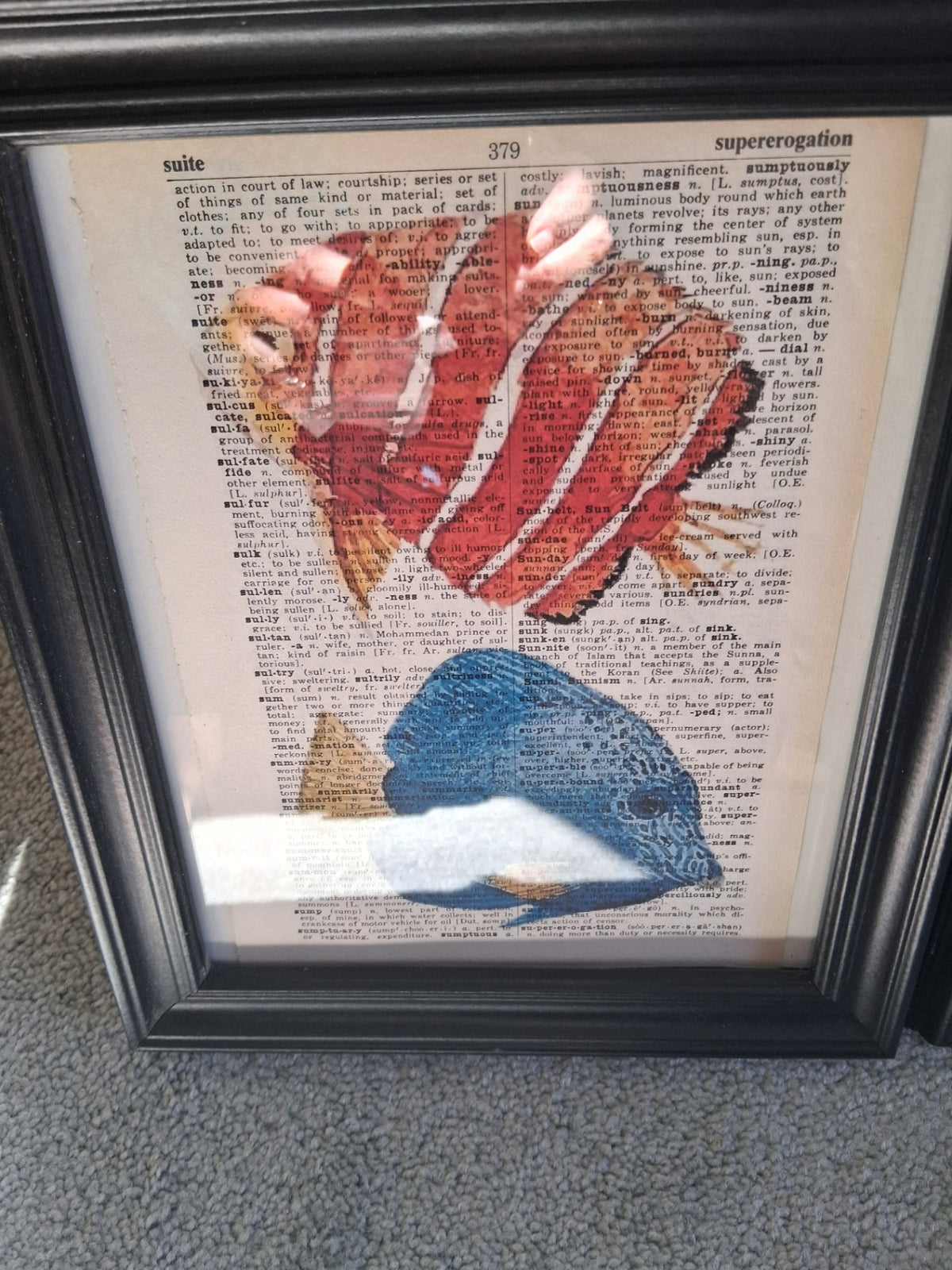 Fish pic on dictionary dsc