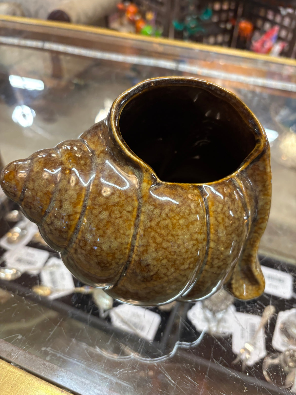 Shell Planter