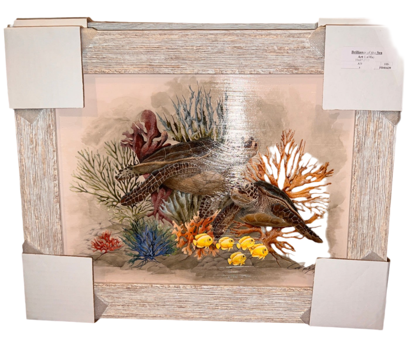 Brillance of the Sea