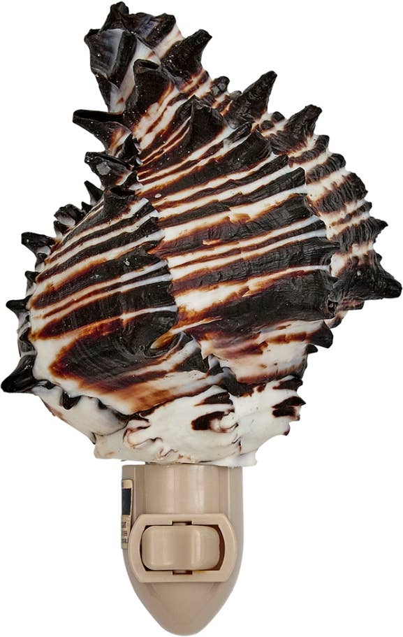 Black Murex LED Loose Night Light