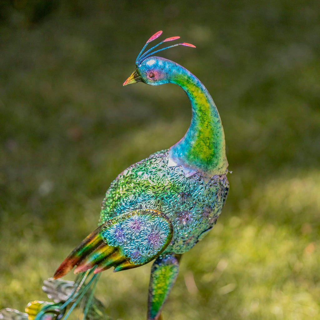 35" Tall Standing Colorful Iron Peacocks in 2 Assorted Style
