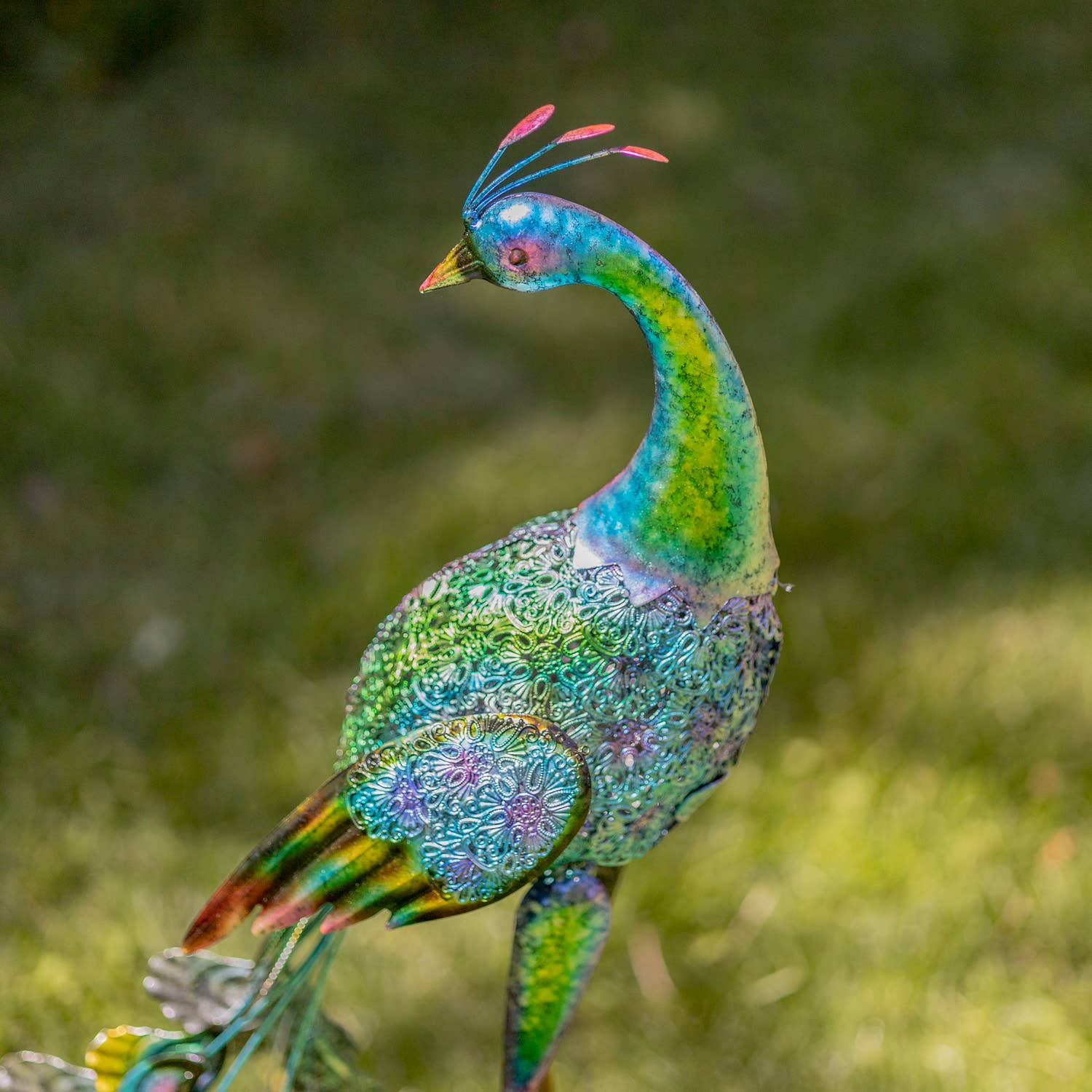 35" Tall Standing Colorful Iron Peacocks in 2 Assorted Style