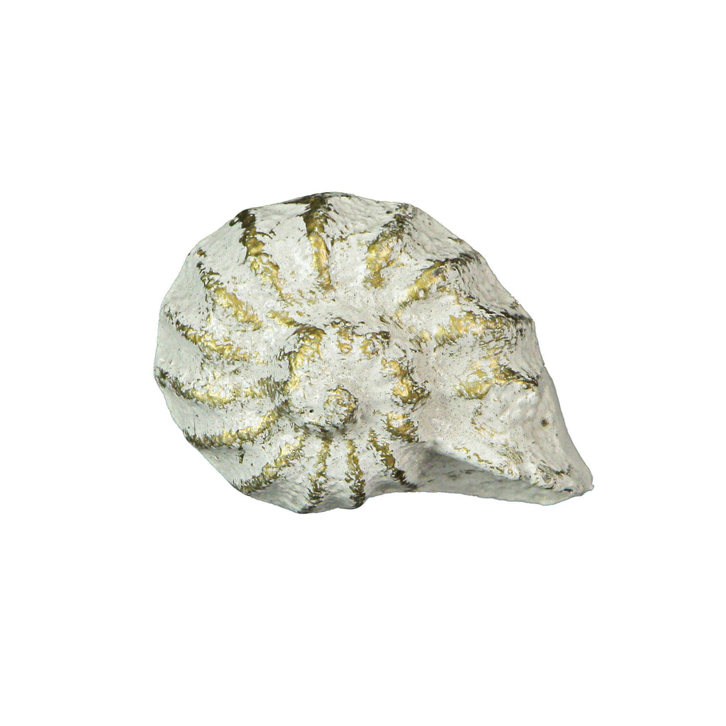 Rustic White Cast Iron Nautilus Shell Drawer Pulls Set of 6
