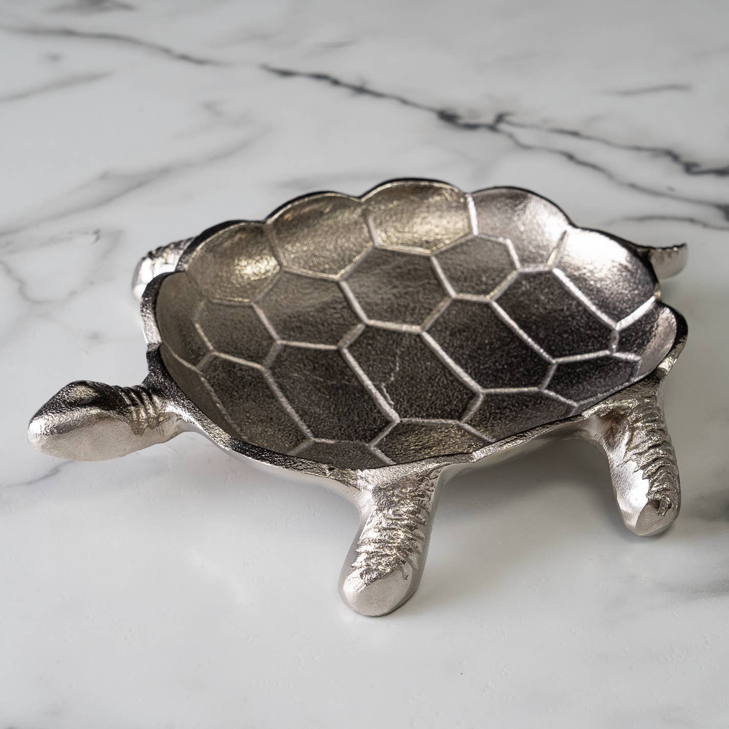 Coastal Turtle Tray