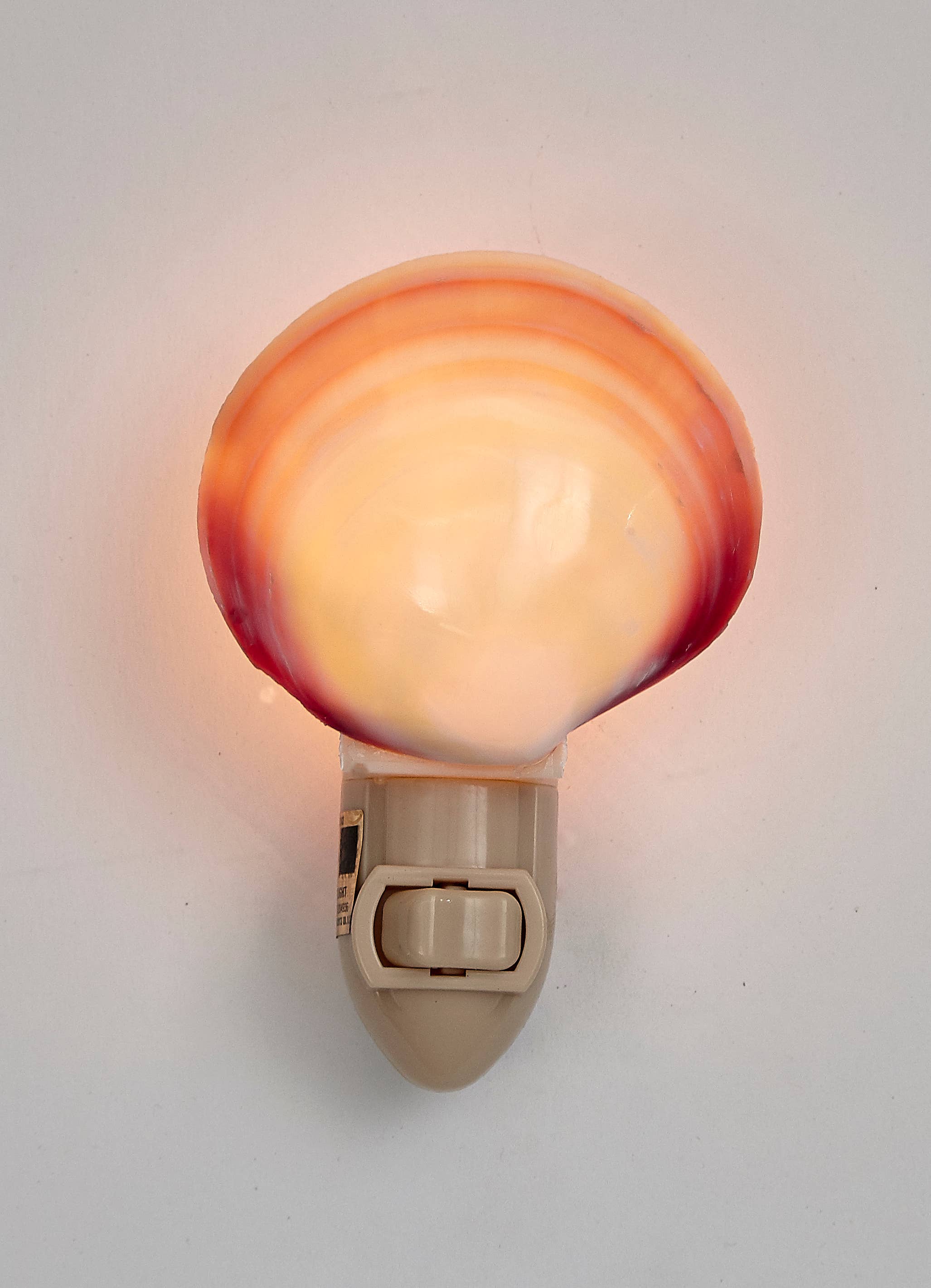 Polished Tiger Clam LED Loose Night Light