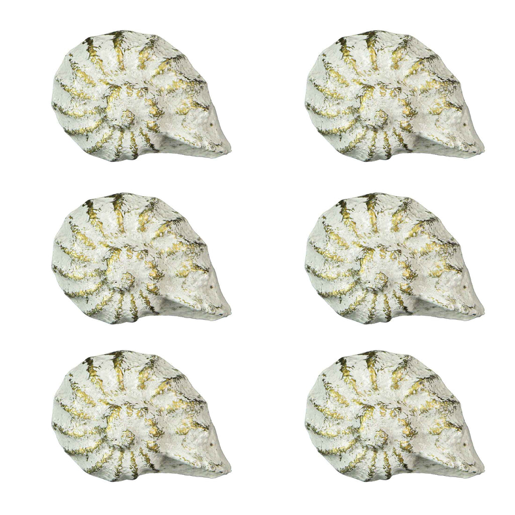 Rustic White Cast Iron Nautilus Shell Drawer Pulls Set of 6