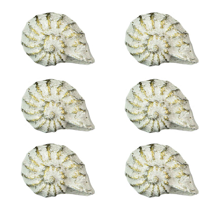 Rustic White Cast Iron Nautilus Shell Drawer Pulls Set of 6