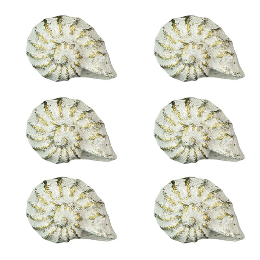 Rustic White Cast Iron Nautilus Shell Drawer Pulls Set of 6