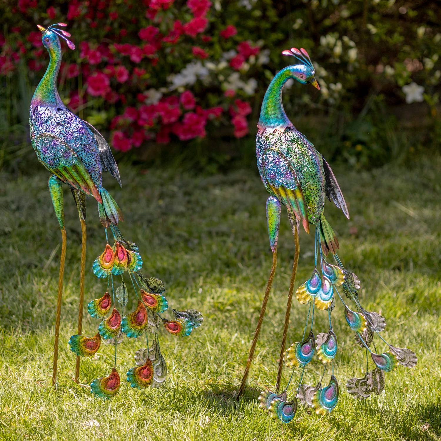 35" Tall Standing Colorful Iron Peacocks in 2 Assorted Style