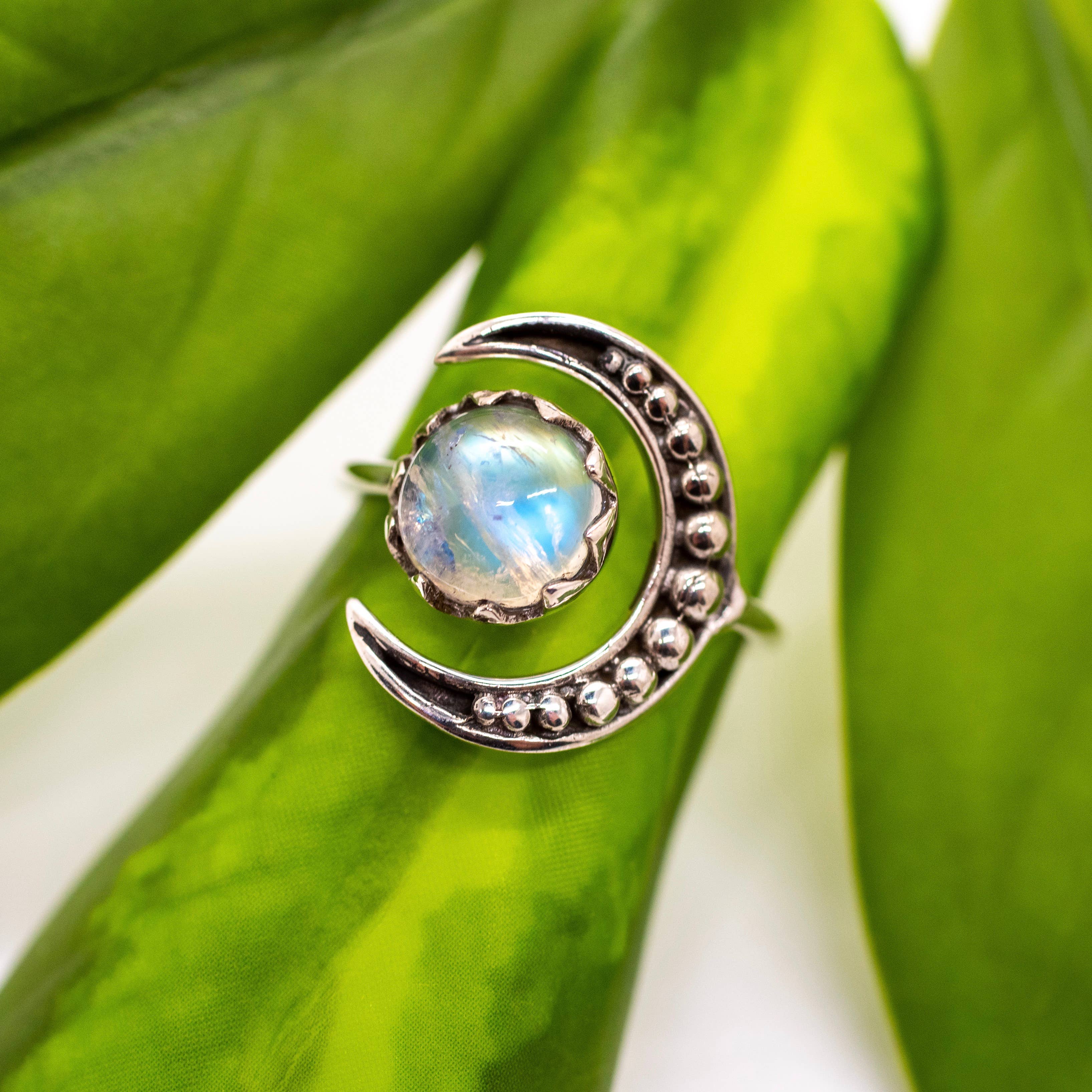 Sterling Silver Moonstone Full Moon Ring: 6
