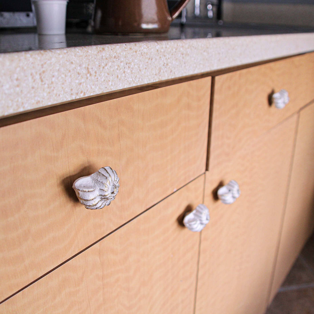 Rustic White Cast Iron Nautilus Shell Drawer Pulls Set of 6