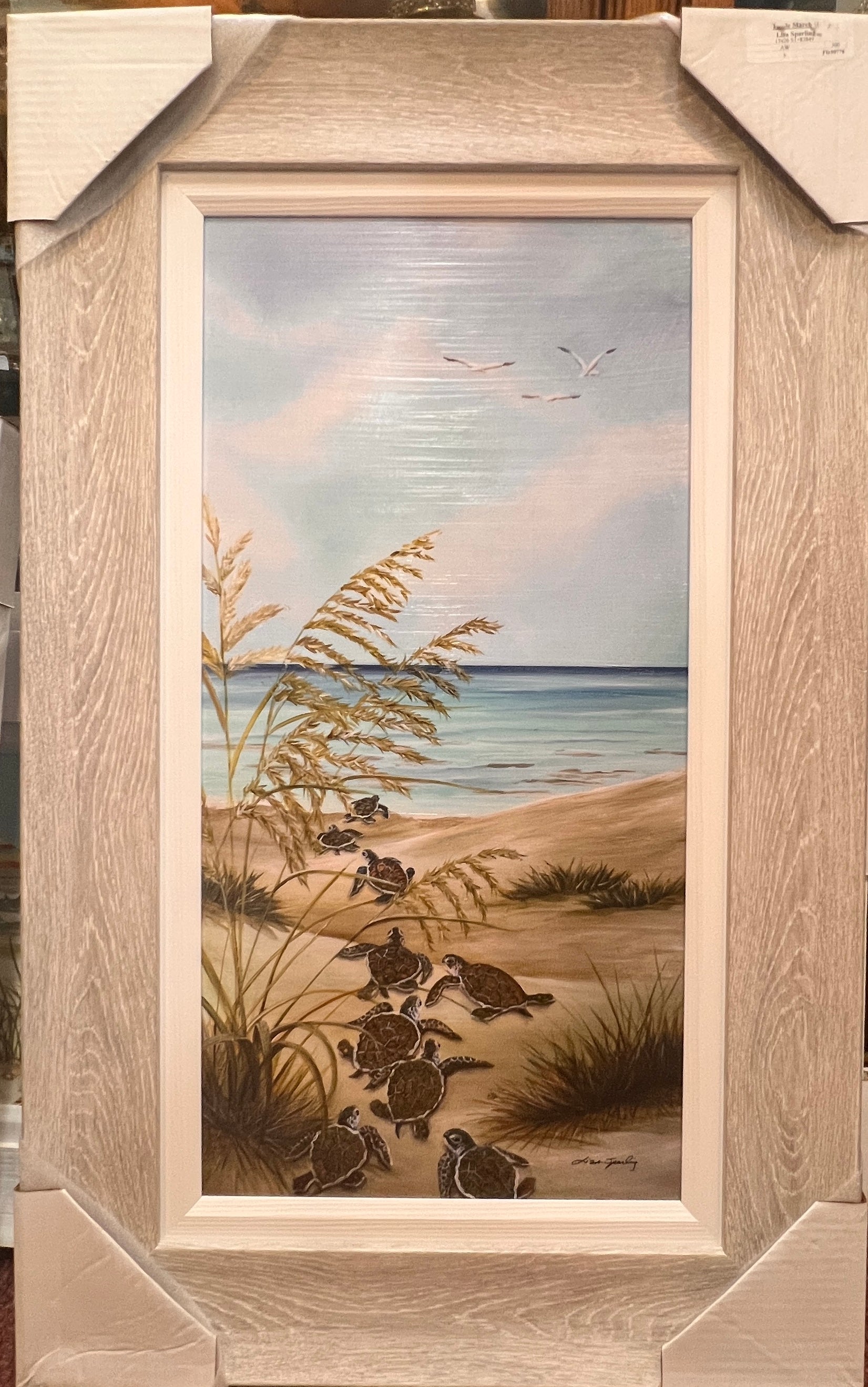 Turtle March 30 1/2 x 17 1/2