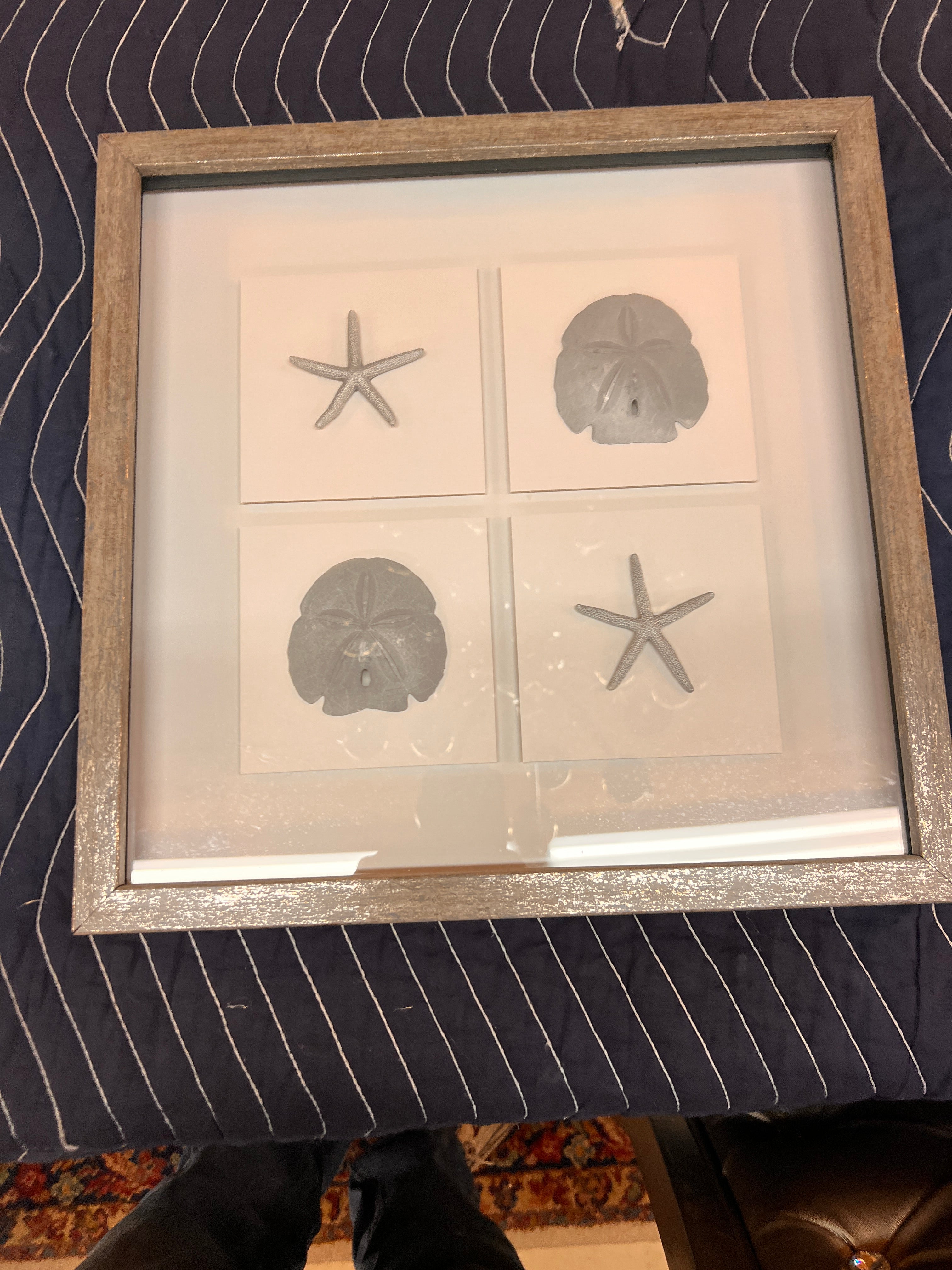 Framed Coastal Shadowbox – Silver Starfish & Sand Dollars (Set of Four)