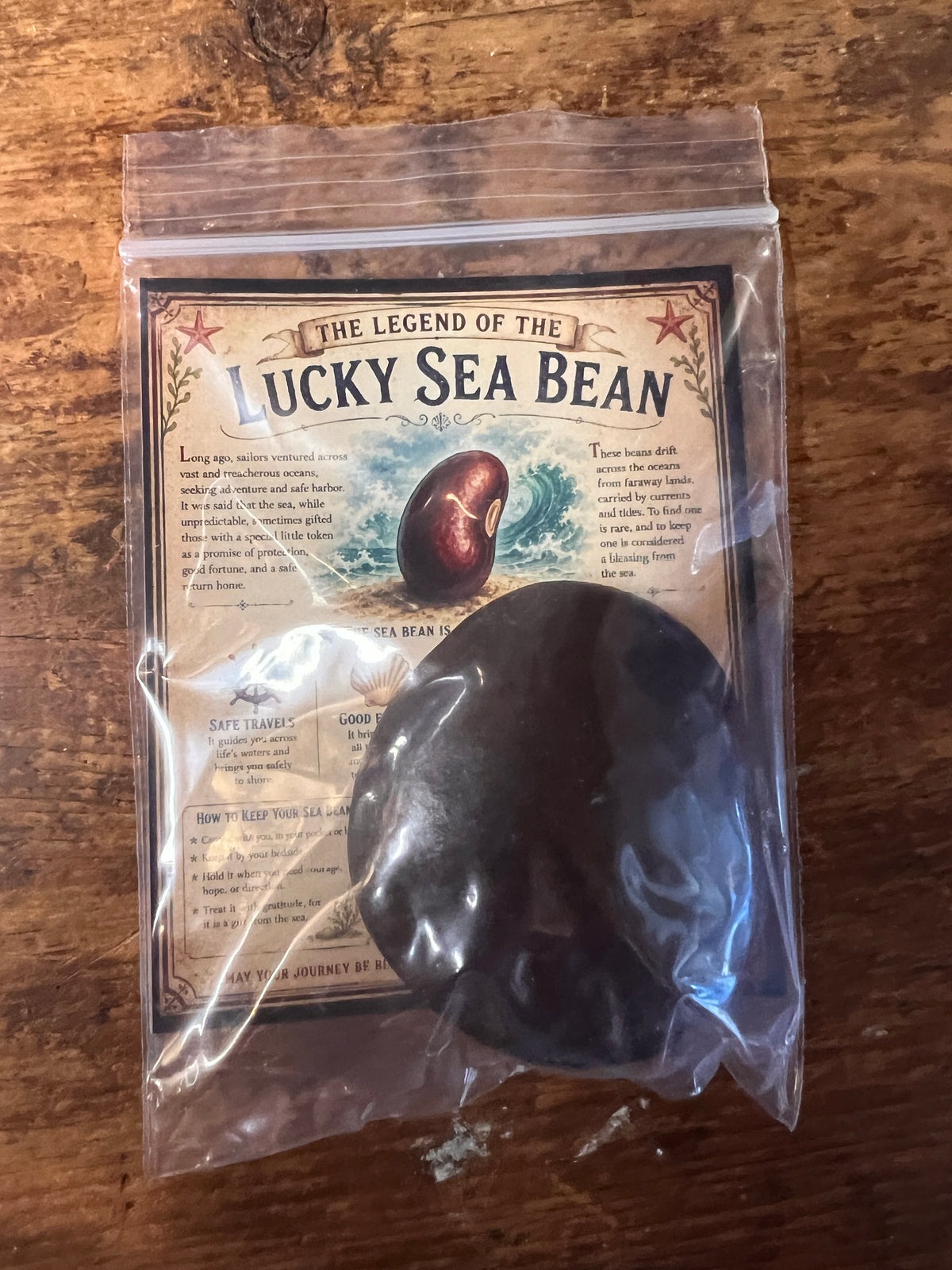 Genuine Lucky Sea Bean with Legend Card – Natural Ocean Drift Seed – Coastal Good Luck Gift