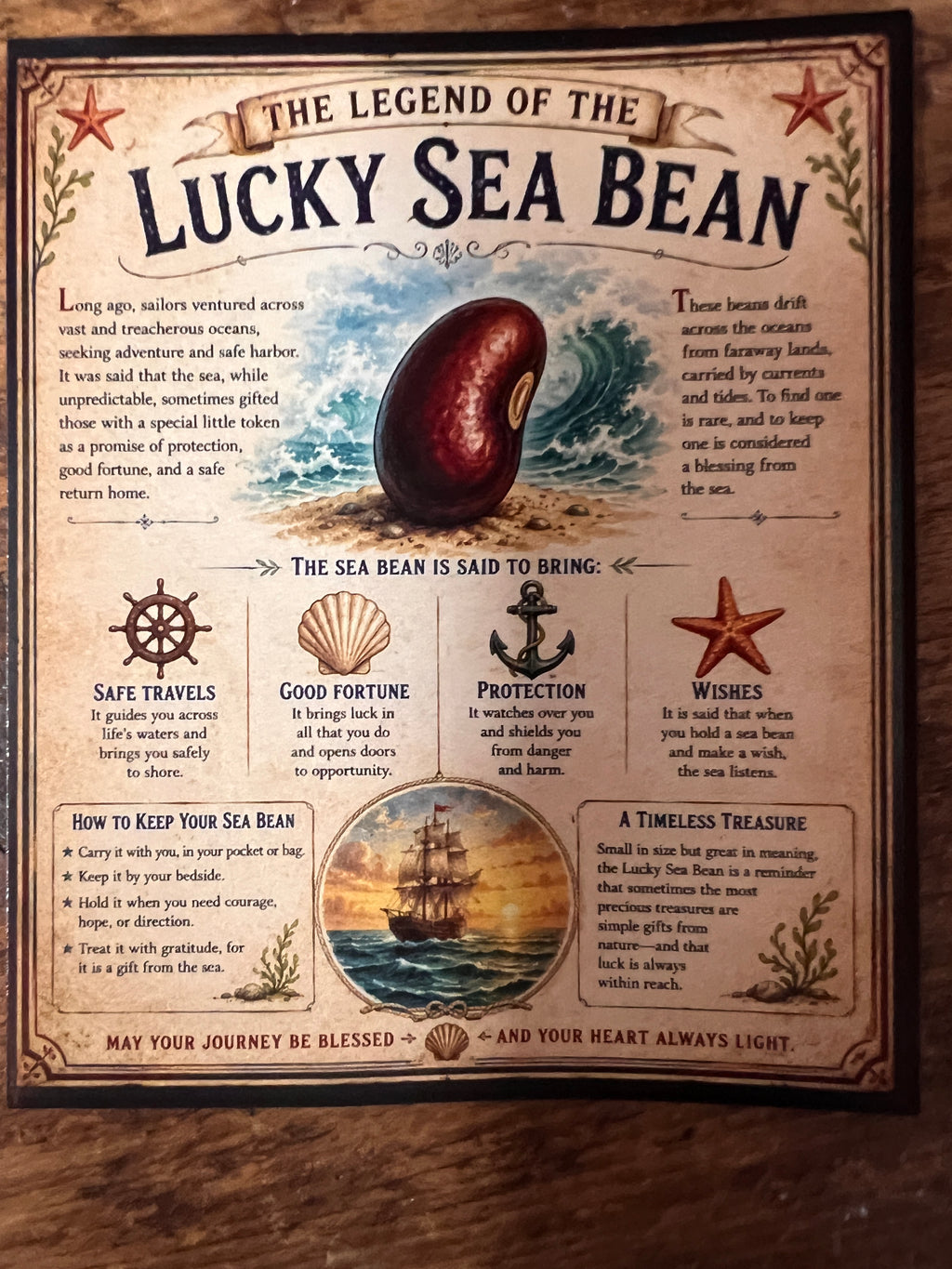 Genuine Lucky Sea Bean with Legend Card – Natural Ocean Drift Seed – Coastal Good Luck Gift