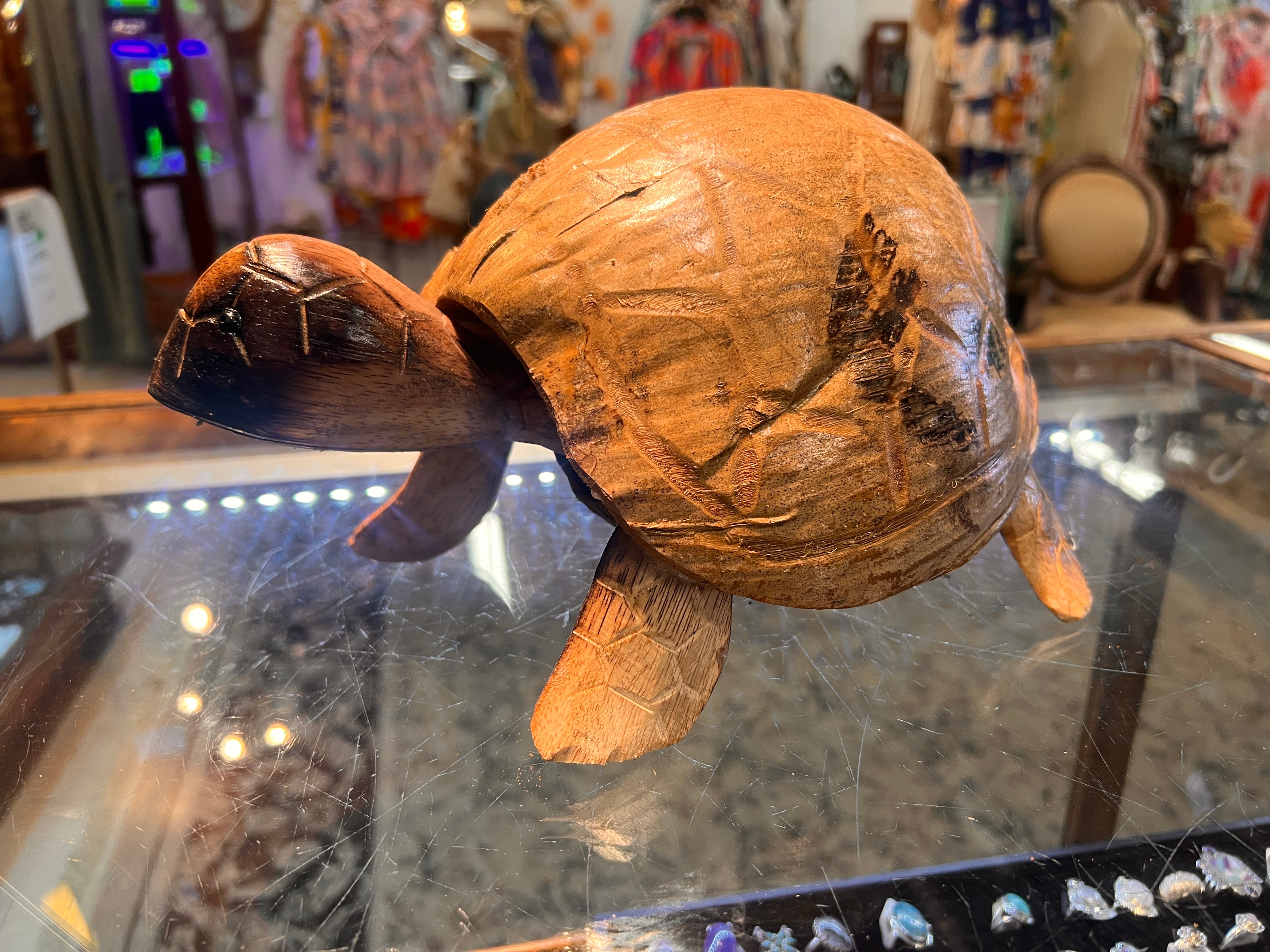 Bobble Head Bill's Turtle