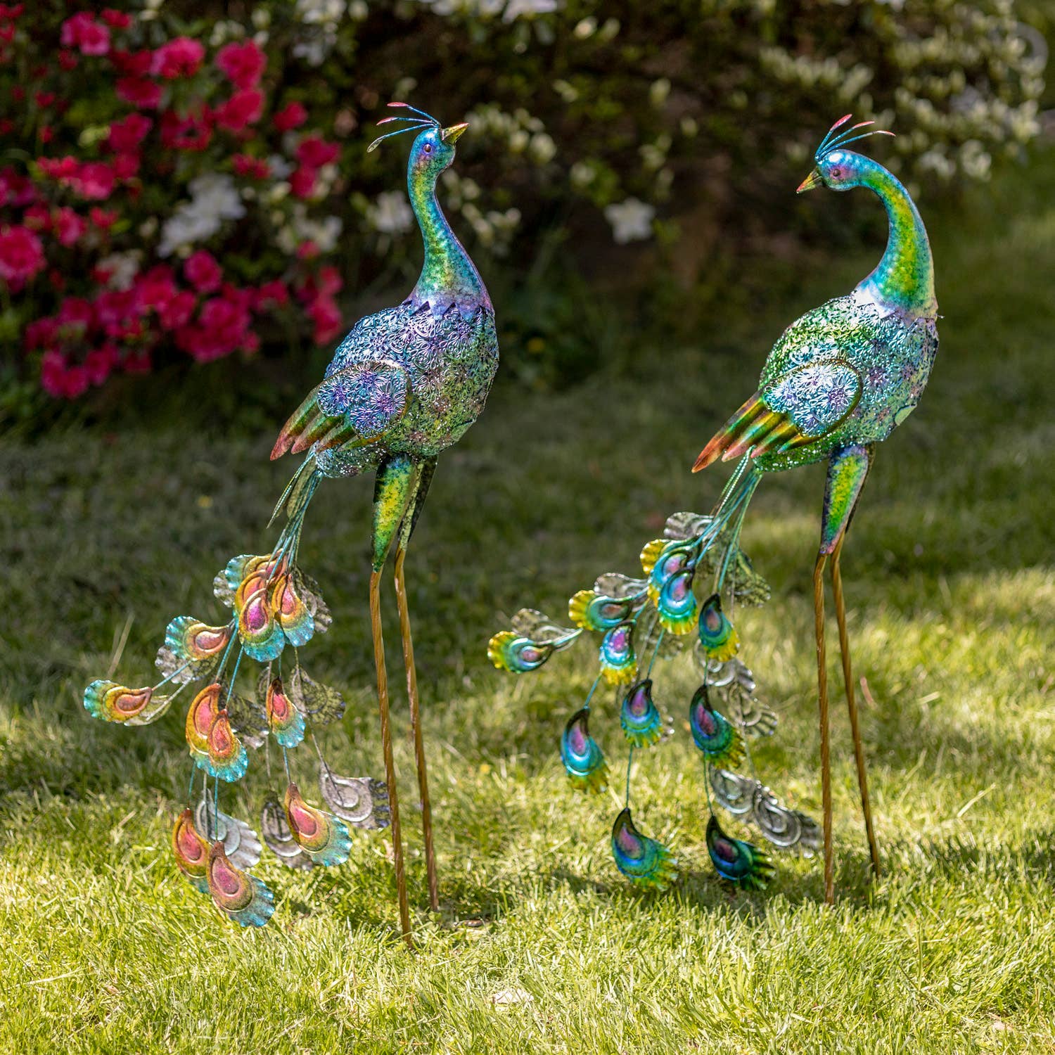 35" Tall Standing Colorful Iron Peacocks in 2 Assorted Style
